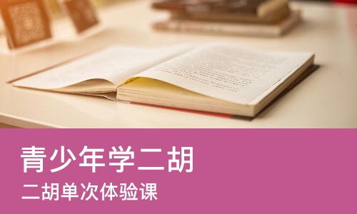 深圳青少年学二胡