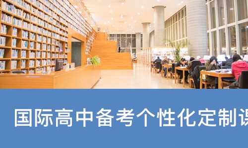 国际高中备考个性化定制课