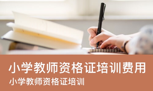 天津小学教师资格证培训费用