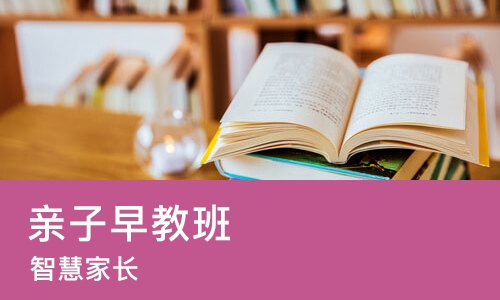 青岛亲子早教班