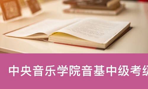 中央音乐学院音基中级考级培训班