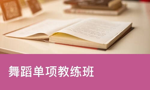 苏州舞蹈单项教练班