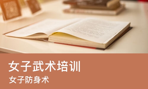 南昌女子武术培训班