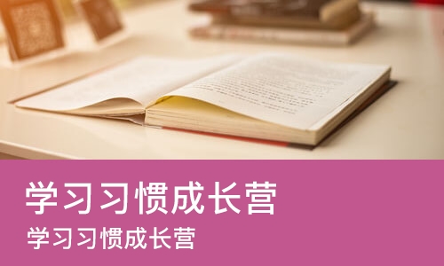 学习习惯成长营