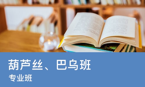 葫芦丝、巴乌班 专业班