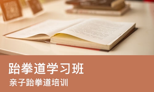 重庆跆拳道学习班