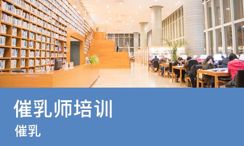 武汉催乳师培训机构