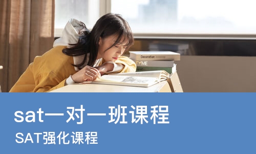 长沙sat一对一班课程