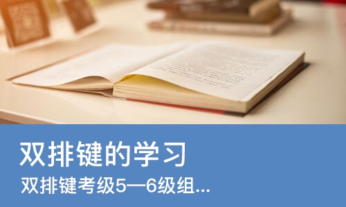 长沙双排键的学习
