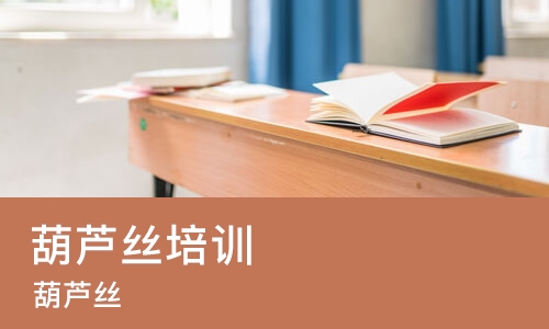 长沙葫芦丝培训班