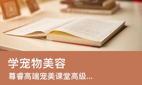 上海学宠物美容