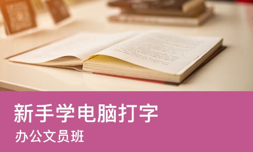 佛山新手学电脑打字