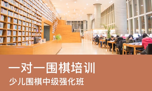 西安一对一围棋培训