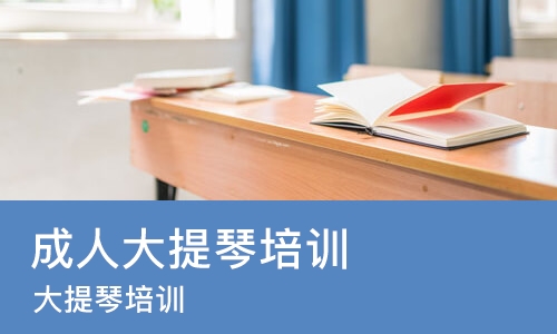 青岛成人大提琴培训