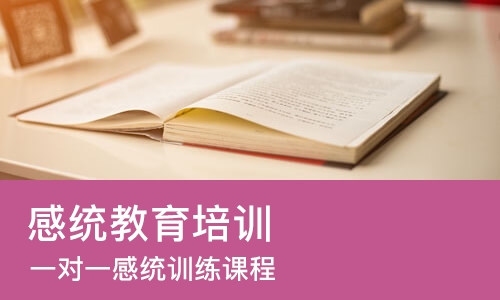 成都感统教育培训