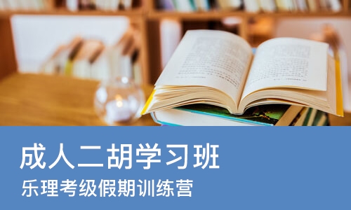 西安成人二胡学习班
