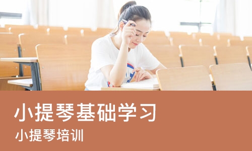 西安小提琴基础学习