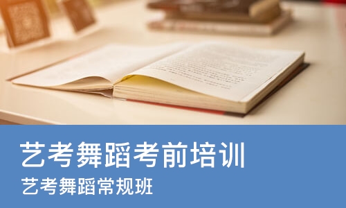 沈阳艺考舞蹈考前培训班