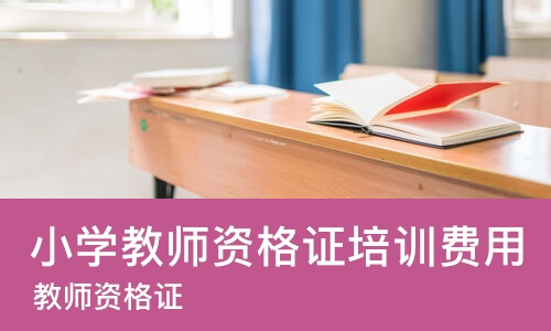 广州小学教师资格证培训费用