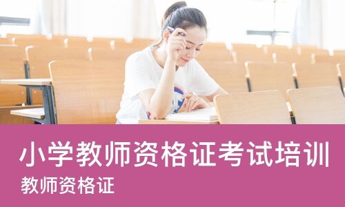 深圳小学教师资格证考试培训