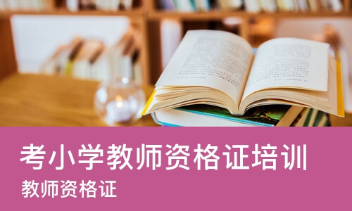 淄博考小学教师资格证培训