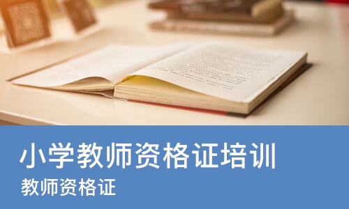 中山小学教师资格证培训班