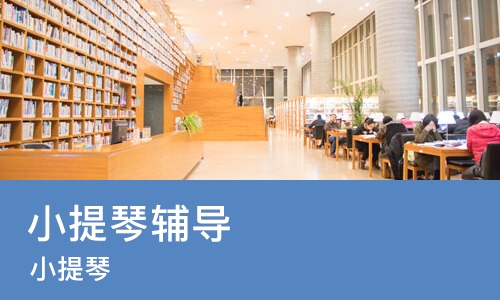 重庆小提琴辅导