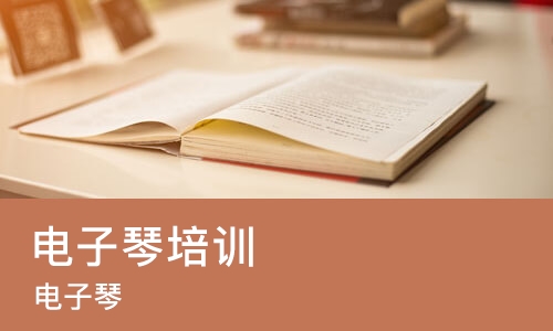 大连电子琴培训机构