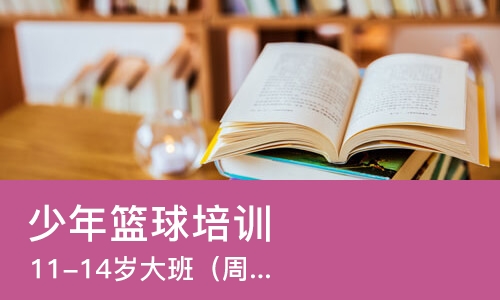 太原少年篮球培训班