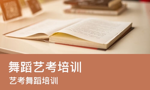 沈阳舞蹈艺考培训