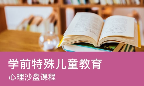 武汉学前特殊儿童教育