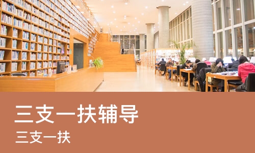 天津三支一扶辅导