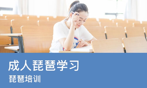 成都成人琵琶学习