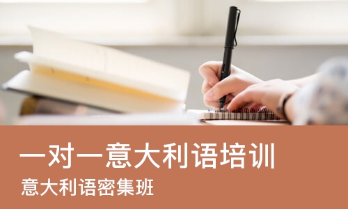 宁波一对一意大利语培训