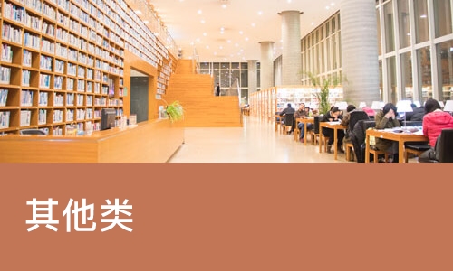 其他类