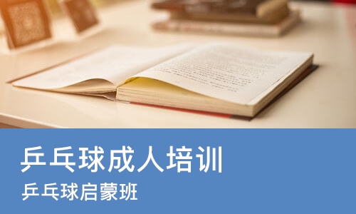 南京乒乓球成人培训