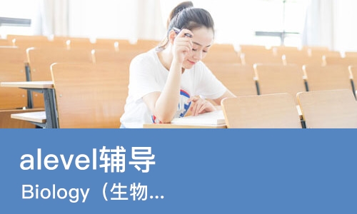 苏州alevel辅导