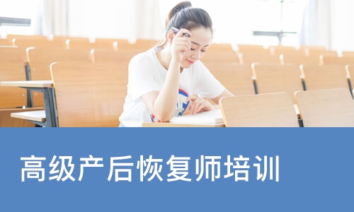 高级产后恢复师培训班