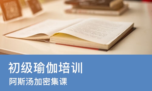 济南初级瑜伽培训