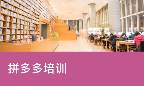 苏州拼多多培训