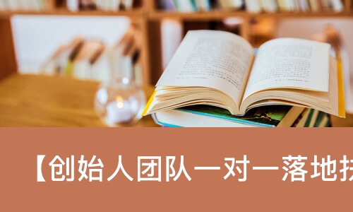 苏州【创始人团队一对一落地扶持指导咨询】