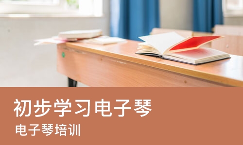 青岛初步学习电子琴