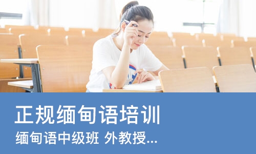 缅甸语中级班 外教授课