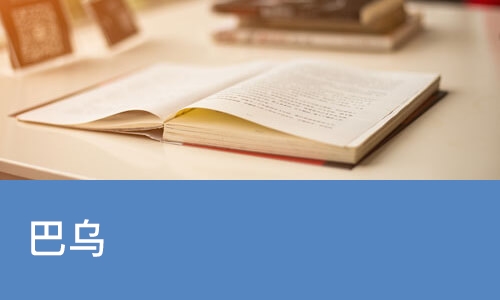 巴乌