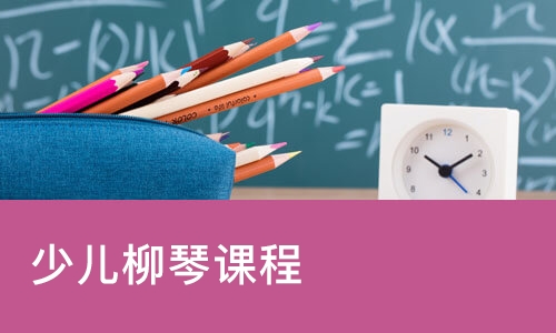少儿柳琴课程