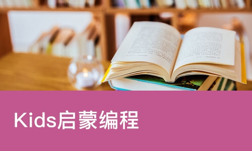 Kids启蒙编程