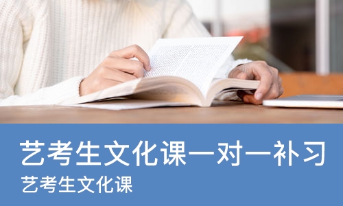 重庆艺考生文化课一对一补习