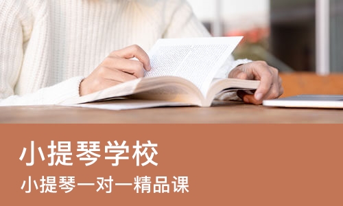 郑州小提琴学校