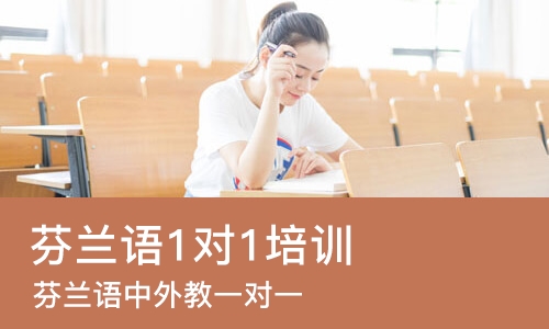 天津芬兰语1对1培训