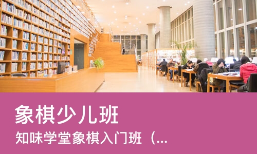 石家庄象棋少儿班